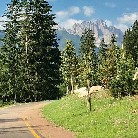Garni Villa Elsa Pozza di Fassa Exteriör bild