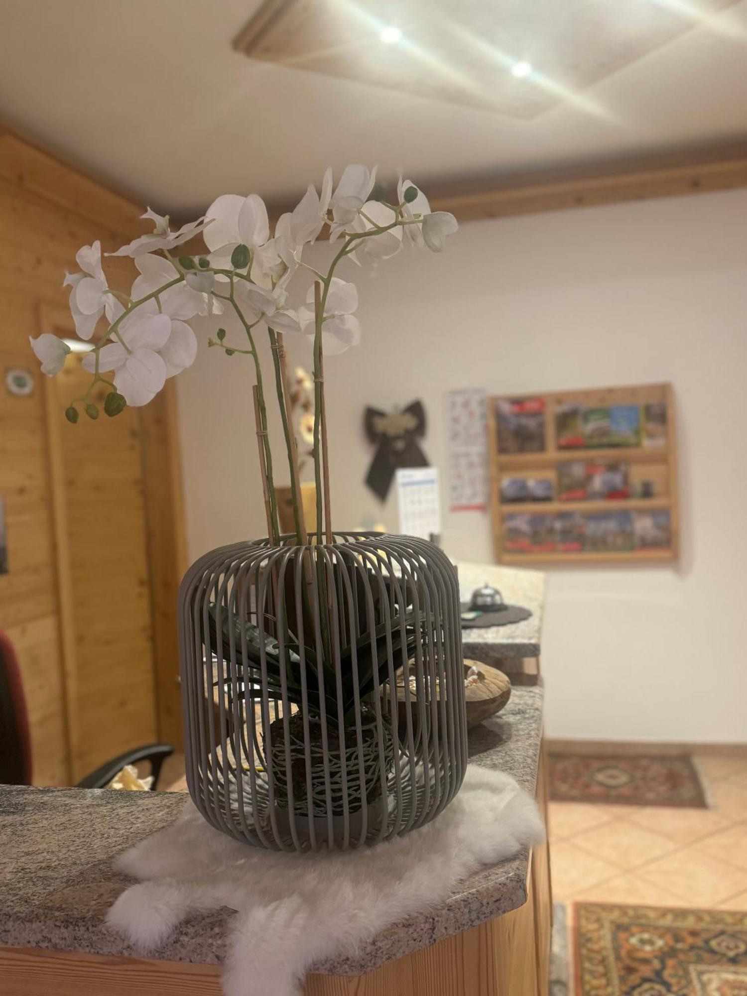 Garni Villa Elsa Pozza di Fassa Exteriör bild